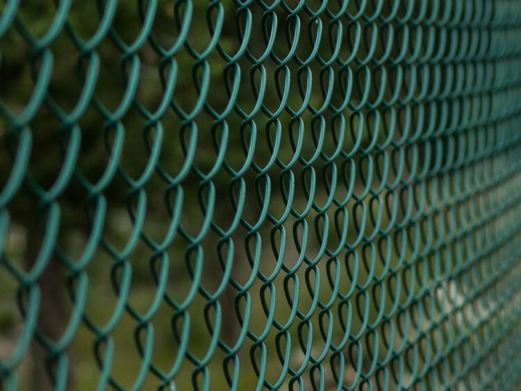 Słupek do siatki leśnej – jak wybrać i gdzie kupić, aby ogrodzenie było trwałe i tanie?